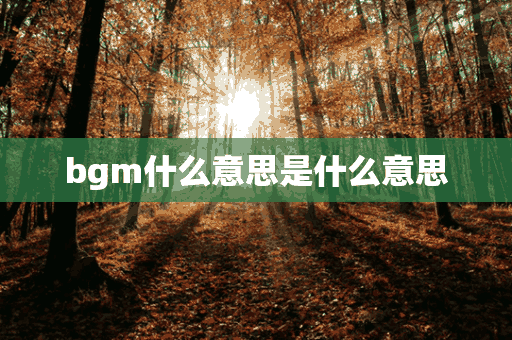 bgm什么意思是什么意思(bgm什么意思是什么意思啊)